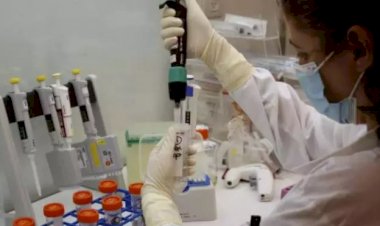 Covid-19: Minas Gerais registra 83 óbitos e 4.996 novos casos em 24 horas