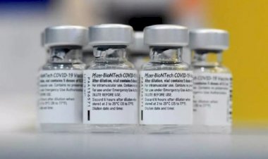 Brasil recebe amanhã 1 milhão de doses da Pfizer, primeira remessa do imunizante.