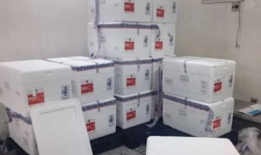 Butantan entrega 420 mil doses da CoronaVac.