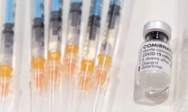 Ministério da Saúde distribui 1,12 milhão de vacinas da Pfizer a partir de hoje.