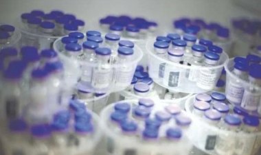 Novo lote da Pfizer será enviado para 70 cidades de MG, diz secretário de Zema.