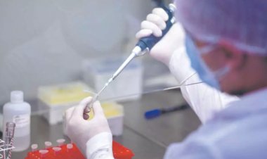 UFMG: Parcerias com iniciativa privada aumentam verba para pesquisa