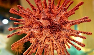 Morador de Juiz de Fora foi infectado por variante indiana, confirma ministério