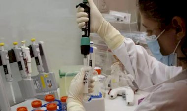 Coronavírus: Minas Gerais registra mais de 5 mil casos e 248 mortes em 24 horas