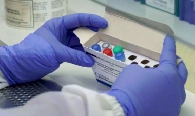 Brasil tem primeiro caso de transmissão comunitária da variante indiana da Covid