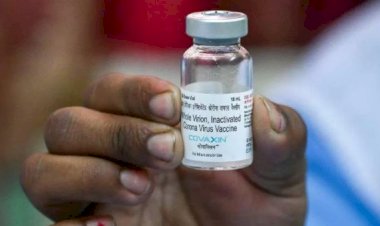 MPF vê indícios de crime e risco temerário em compra da Covaxin pelo governo