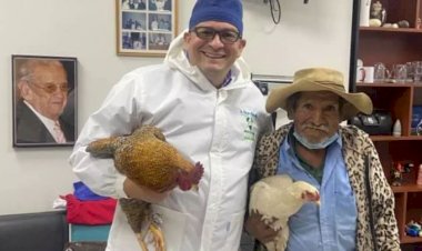 Médico recebe galinhas de idosos como presente por cirurgia: 'muito emocionado'