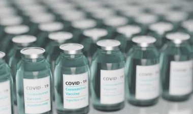 Minas recebe mais 234.750 vacinas contra a covid-19; veja histórico