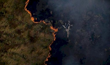 Queimadas atingiram quase 20% do território brasileiro nos últimos 36 anos