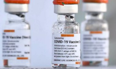 Coronavac: estudo indica necessidade de 3ª dose para pessoas acima de 55 anos