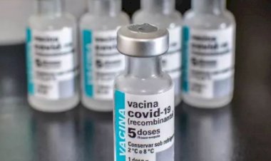 MG recebe mais de 260 mil doses da AstraZeneca e 340 mil da Pfizer nesta quinta