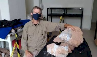 Novo fóssil de dinossauro é encontrado em obra de rodovia no interior de SP
