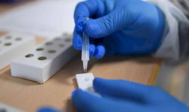 Contra nova variante ômicron, Brasil fechará fronteiras para 6 países da África
