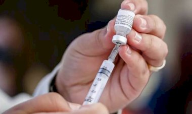 Anvisa autoriza vacina da Pfizer para crianças a partir de 5 anos