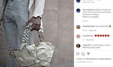 PF apura envio de corpos do Brasil para designer que fez bolsa com coluna humana