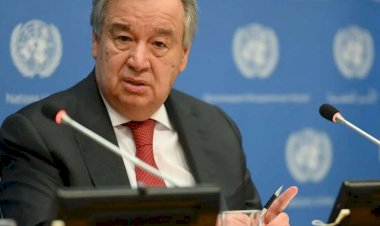 Chefe da ONU pediu para se reunir com Putin e Zelensky