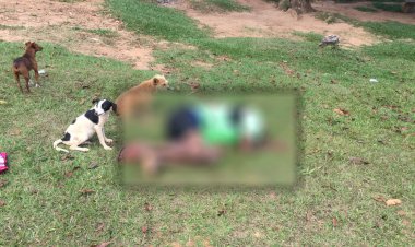 Homem é assassinado a tiro na Zona Rural de Rio Vermelho