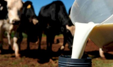 Produtores de leite da Região Centro Nordeste de Minas organizam uma grande manifestação reivindicando preços justos do leite para produtores e consumidores, nessa sexta-feira (9), em Guanhães
