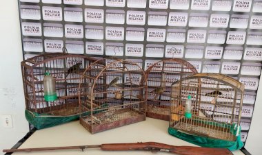 PM prende  homem por posse ilegal de arma de fogo em Santa Maria do Suaçuí