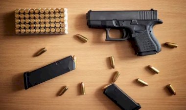 Governo estende recadastramento de armas até 3 de maio