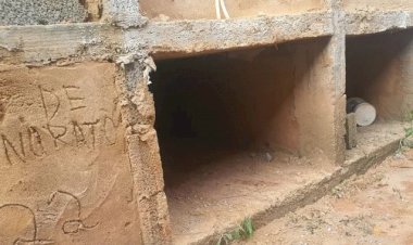 Polícia prende suspeitos de enterrarem mulher viva na Zona da Mata