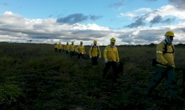 IEF contrata brigadistas para atuar em prevenção e combate a incêndios florestais
