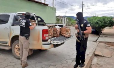 Operação Telegrama prende integrantes de organização criminosa em Almenara