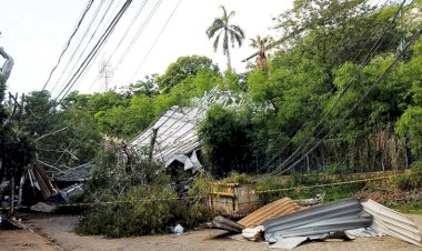 Moradores ficam ‘presos’ após estrutura derrubada por chuva interditar rua