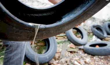 Em 24h, Minas Gerais confirma mais 7.083 novos casos de dengue