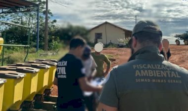 Fazendas de MG desmatavam áreas preservadas para produzir carvão, conclui PCMG