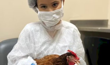 Menina recebe visita de sua galinha de estimação em hospital de BH