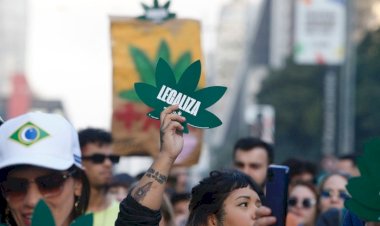 Decisão do STF sobre maconha traz ‘norte interpretativo’, mas deixa lacunas, analisa especialista