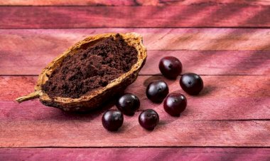 7 benefícios do açaí para a saúde