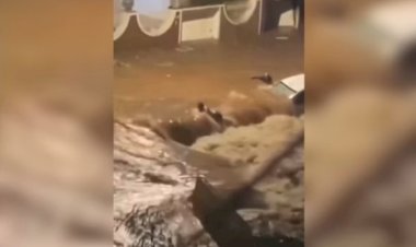 Vídeo: três pessoas desaparecem em enxurrada em São Paulo