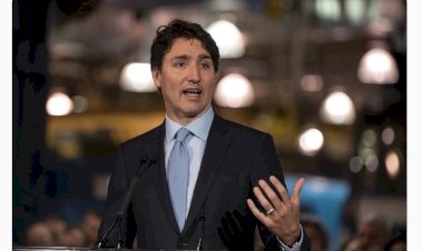 RESPOSTA Canadá vai impor tarifas sobre alimentos, veículos e eletrônicos dos Estados Unidos