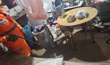 FORMIGA Morador se depara com jararaca embaixo de mesa no interior de MG e pede ajuda