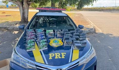 Motorista de ônibus é preso e mais de 30 caixas de cigarro eletrônico são apreendidas na Fernão Dias, no Sul de MG