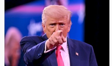 DEPORTAÇÃO TECNOLÓGICA Trump lança aplicativo para que imigrantes se 'autodeportem'; saiba como funciona