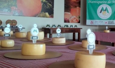 Produtores têm até 12 de abril para se inscreverem no 3º Concurso Regional de Queijos Artesanais Mantiqueira de MG; veja como se inscrever