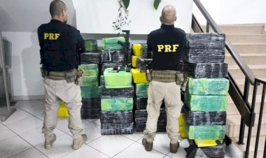 Quase três toneladas de maconha são apreendidas em caminhão na BR-040, na divisa entre MG e RJ