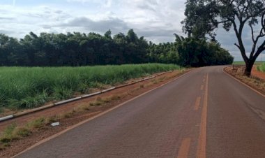 Mesmo na cadeirinha, criança de 2 anos morre após carro sair da pista e capotar em canavial na MGC-464