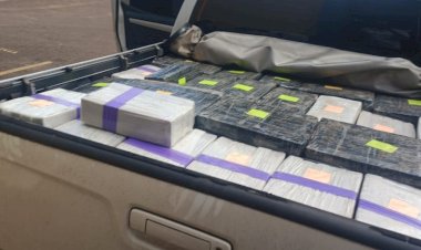 Polícia rodoviária apreende quase uma tonelada de maconha em caminhonete na MGC-497