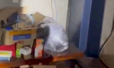 Mulher encontrada acorrentada em Goiás diz ter sofrido queimaduras com ácido na boca