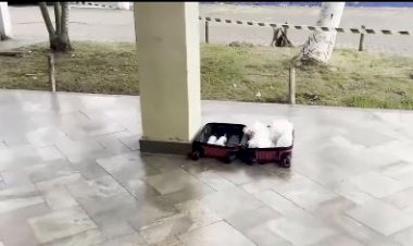 Jovem de São João Evangelista é preso com drogas e granadas dentro da mala na rodoviária de Governador Valadares