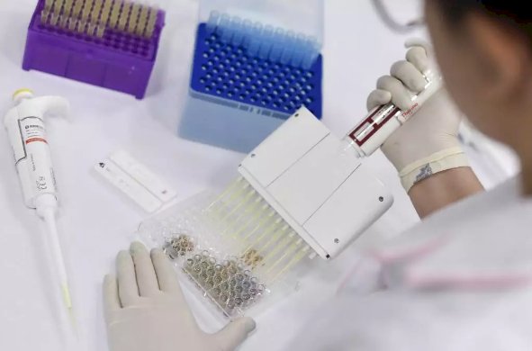 Teste com vacina de Oxford prossegue mesmo após morte de voluntário, diz Anvisa