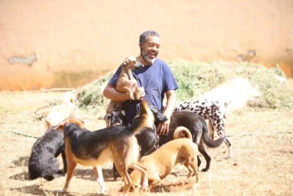 Ativista de BH faz apelo para encontrar novo lar para 70 cães e gatos