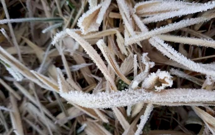 Minas Gerais bate novo recorde de frio com - 3,3ºC em Maria da Fé nesta quinta