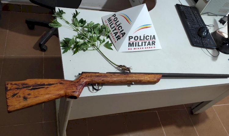 Homem de 27 anos é preso em São Pedro do Suaçuí por porte ilegal de arma e cultivo de maconha 