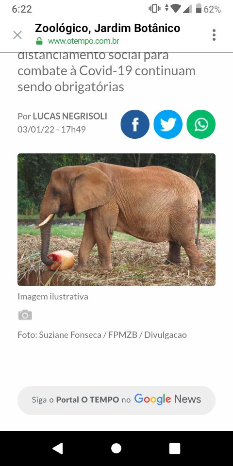 Zoológico, Jardim Botânico e Aquário de BH suspendem necessidade de agendamento