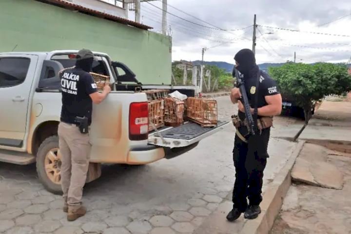 Operação Telegrama prende integrantes de organização criminosa em Almenara